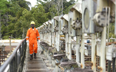 Rabi-Kounga : Le Plus Grand Champ Pétrolier du Gabon