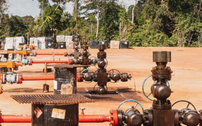 M’Bindji : Un Champ Pétrolier Onshore du Bassin Sédimentaire Gabonais